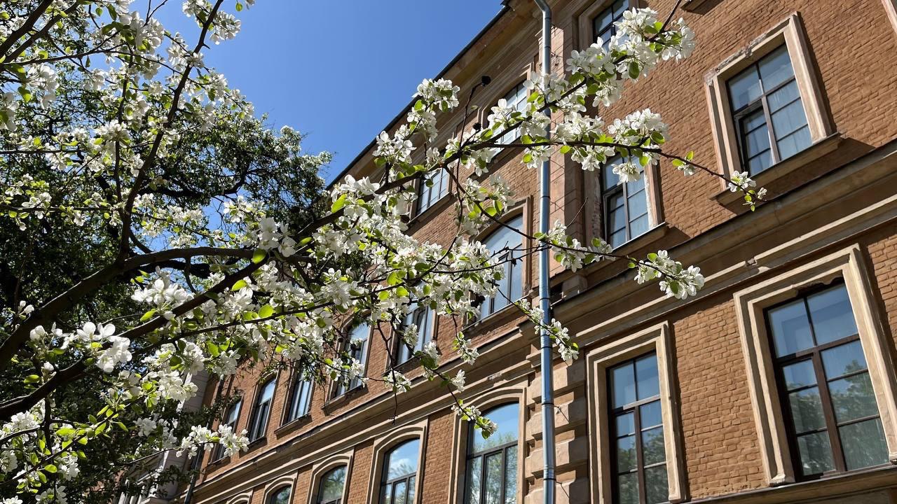 University Image