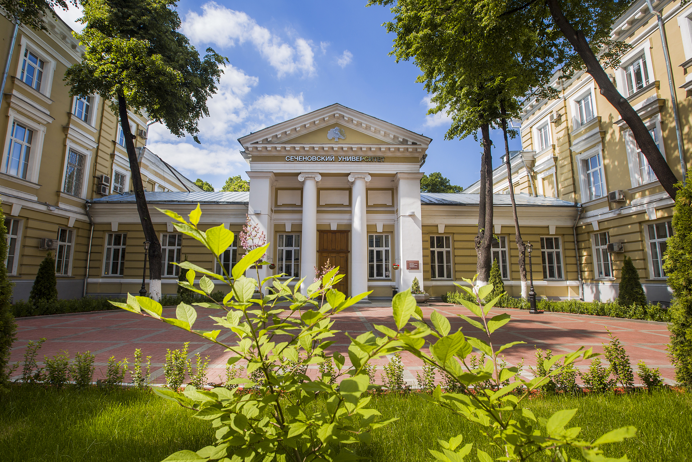 University Image