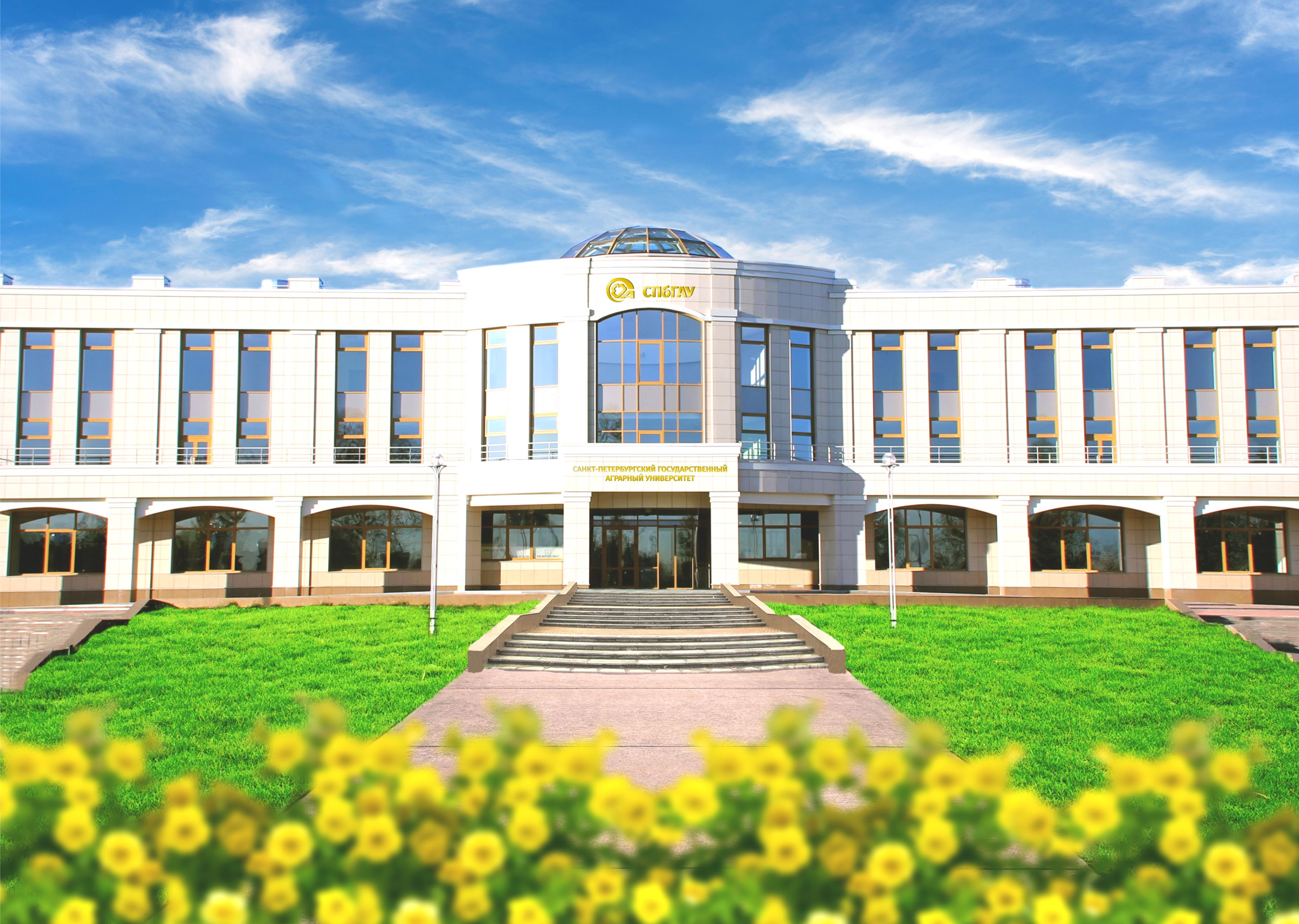 University Image
